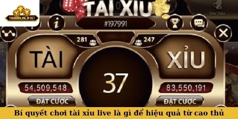 Bí quyết chơi tài xỉu live là gì để hiệu quả từ cao thủ