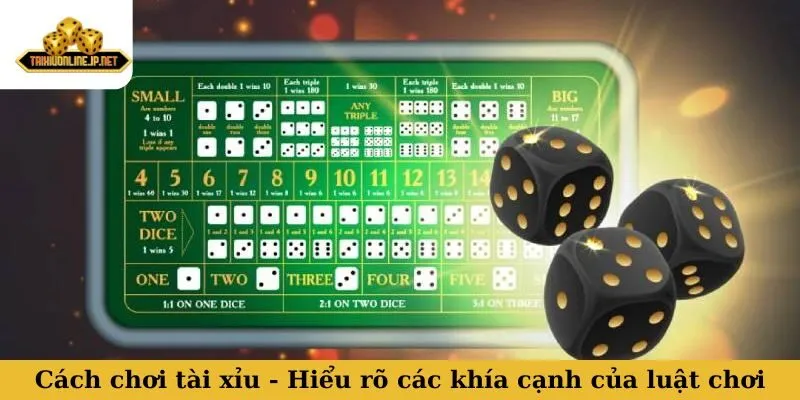Cách chơi tài xỉu - Hiểu rõ các khía cạnh của luật chơi