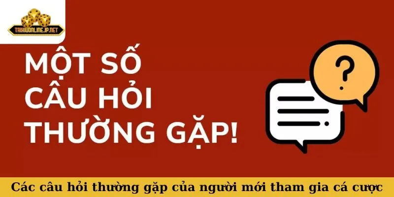 Các câu hỏi thường gặp của người mới tham gia cá cược