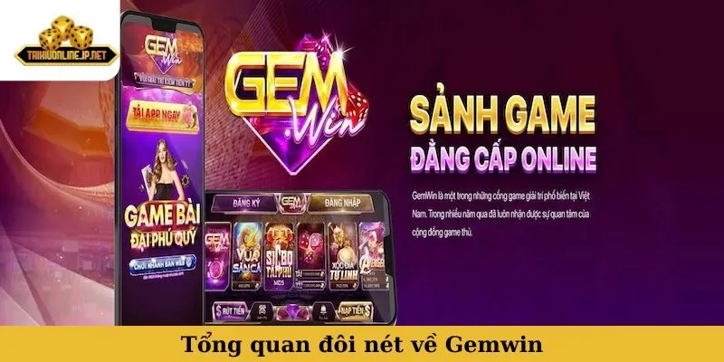 Tổng quan đôi nét về Gemwin