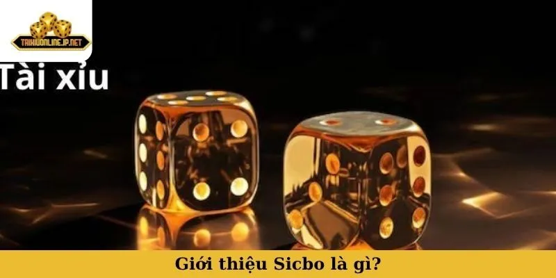 Giới thiệu Sicbo là gì?