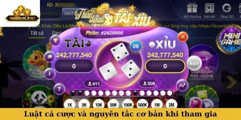 Luật cá cược và nguyên tắc cơ bản khi tham gia