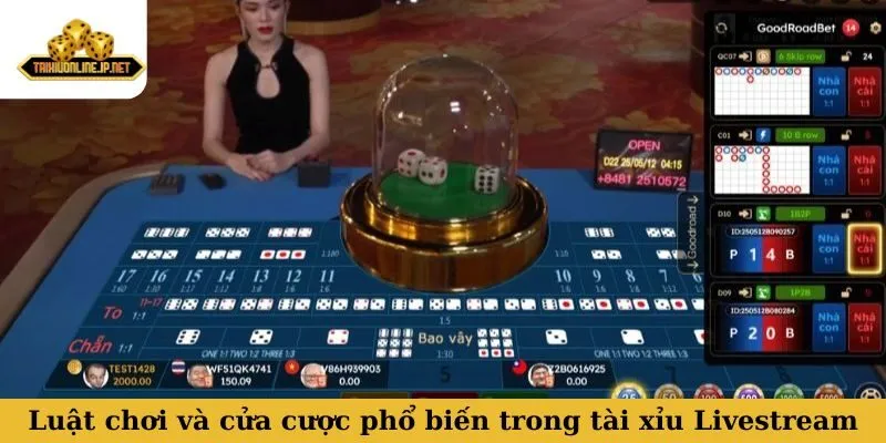 Luật chơi và các cửa cược phổ biến trong tài xỉu Livestream